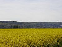 Hartzen maj 2005-100