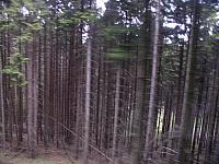 Hartzen maj 2005-120