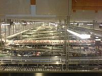 Danish Crown oktober 2007-10