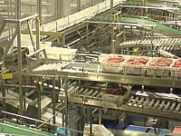 Danish Crown oktober 2007-11